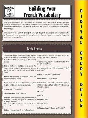 cover image of French Vocabulary (Blokehead Easy Study Guide)
